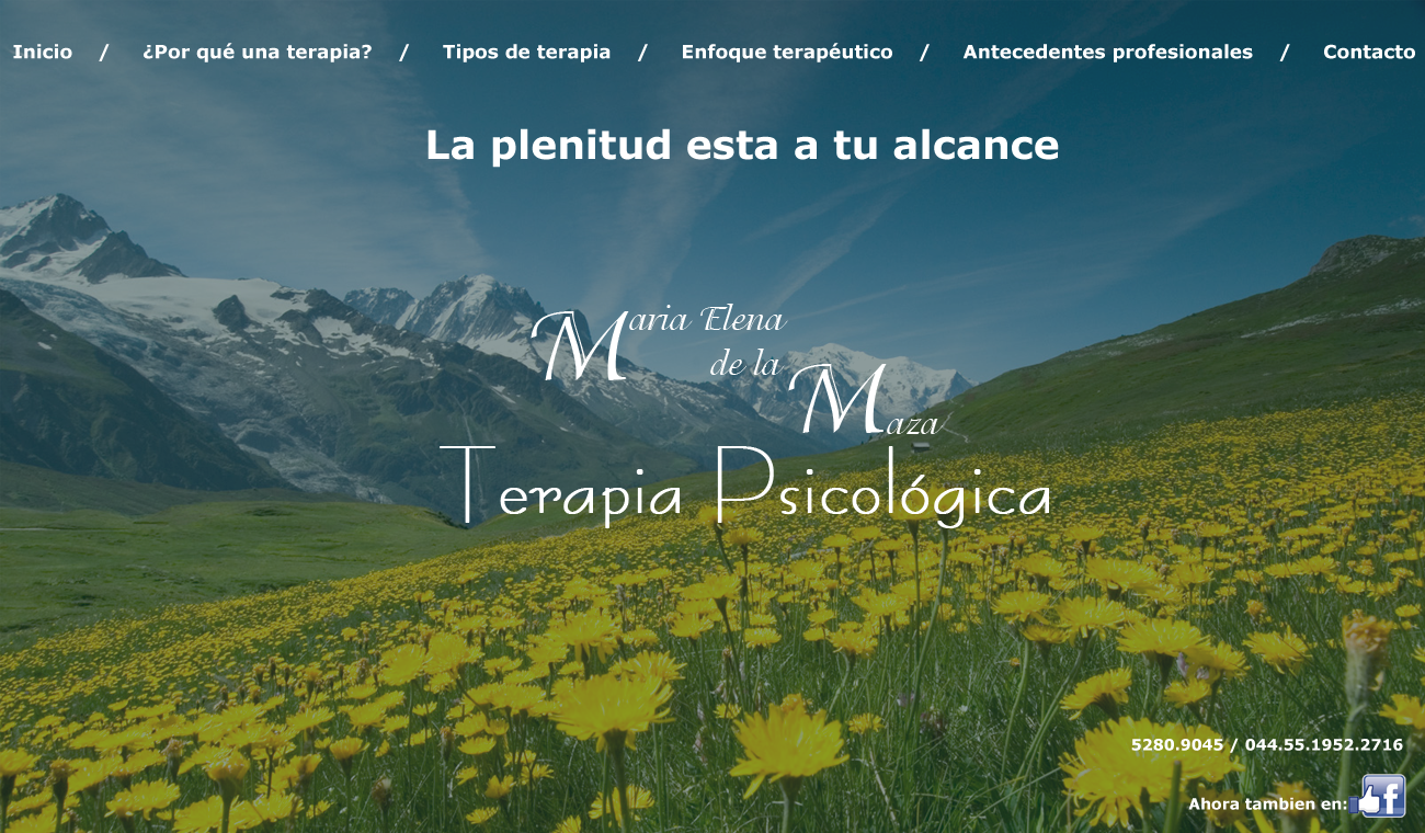 Terapia Psicológica en Polanco